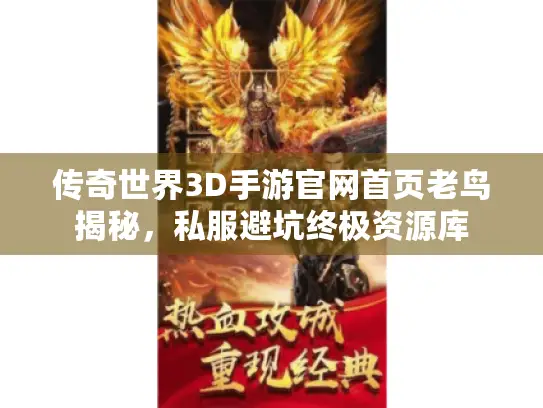 传奇世界3D手游官网首页老鸟揭秘，私服避坑终极资源库