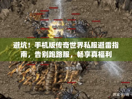 避坑！手机版传奇世界私服避雷指南，告别跑路服，畅享真福利