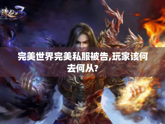 完美世界完美私服被告,玩家该何去何从?