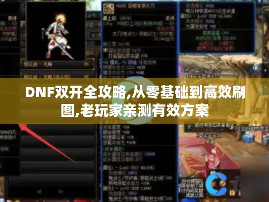 DNF双开全攻略,从零基础到高效刷图,老玩家亲测有效方案