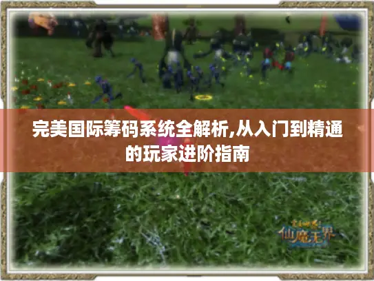 完美国际筹码系统全解析,从入门到精通的玩家进阶指南