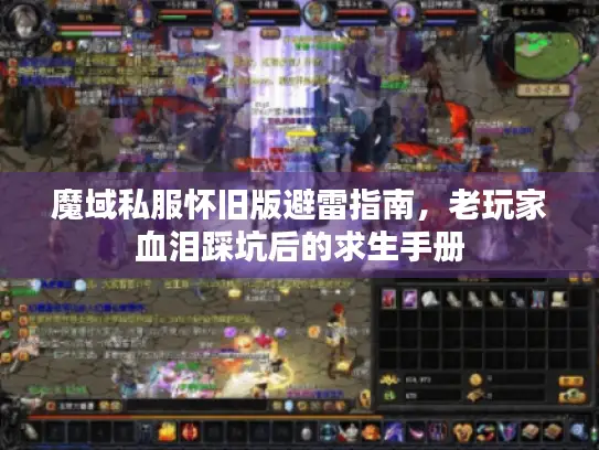 魔域私服怀旧版避雷指南,老玩家血泪踩坑后的求生手册 魔域私服怀旧版避雷指南,老玩家血泪踩坑后的求生手册