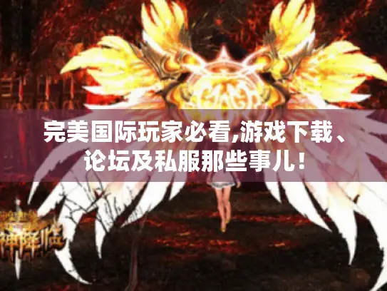 完美国际玩家必看,游戏下载、论坛及私服那些事儿！