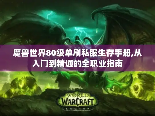 魔兽世界80级单刷私服生存手册,从入门到精通的全职业指南 魔兽世界80级单刷私服生存手册,从入门到精通的全职业指南
