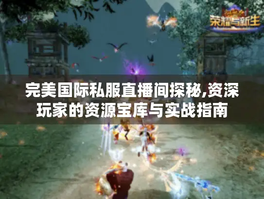 完美国际私服直播间探秘,资深玩家的资源宝库与实战指南