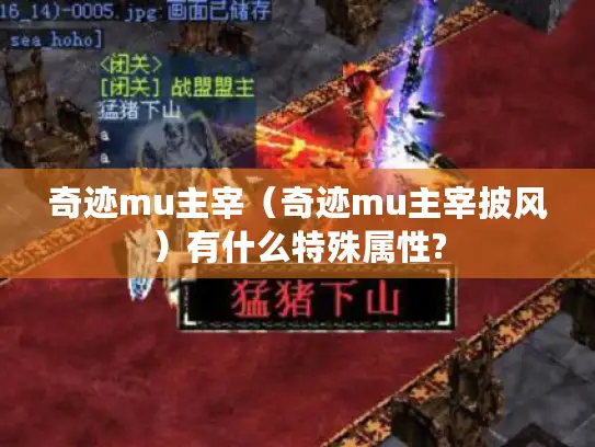 奇迹mu主宰（奇迹mu主宰披风）有什么特殊属性?