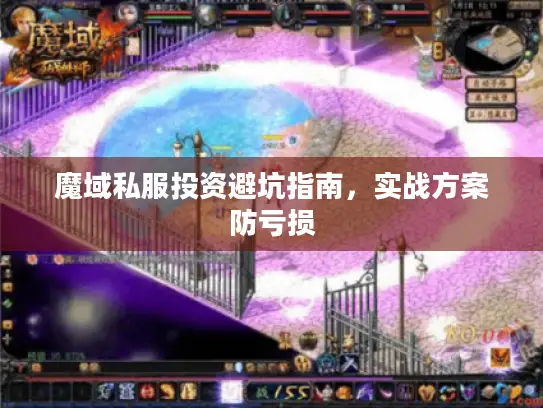 魔域私服投资避坑指南,实战方案防亏损 魔域私服投资避坑指南,实战方案防亏损