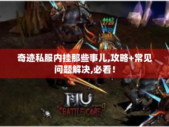 奇迹私服内挂那些事儿,攻略+常见问题解决,必看！