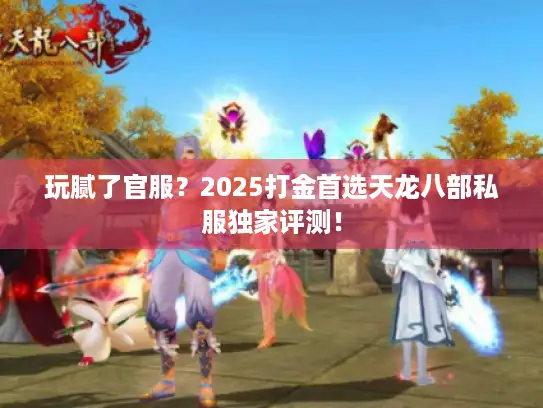 玩腻了官服？2025打金首选天龙八部私服独家评测！