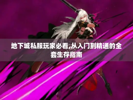 地下城私服玩家必看,从入门到精通的全套生存指南
