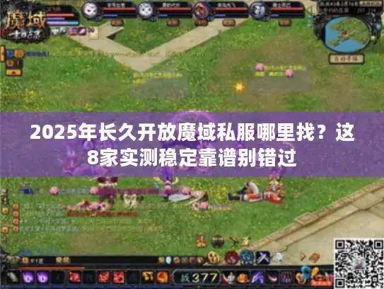 2025年长久开放魔域私服哪里找？这8家实测稳定靠谱别错过