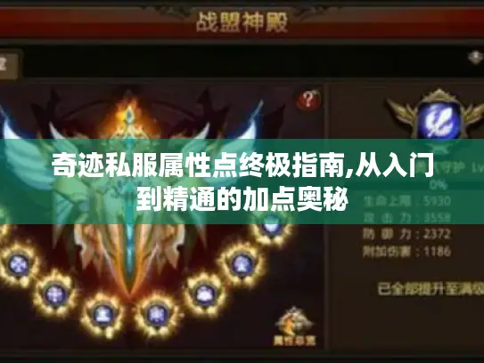 奇迹私服属性点终极指南,从入门到精通的加点奥秘