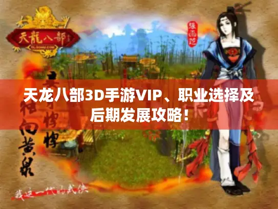 天龙八部3D手游VIP、职业选择及后期发展攻略！