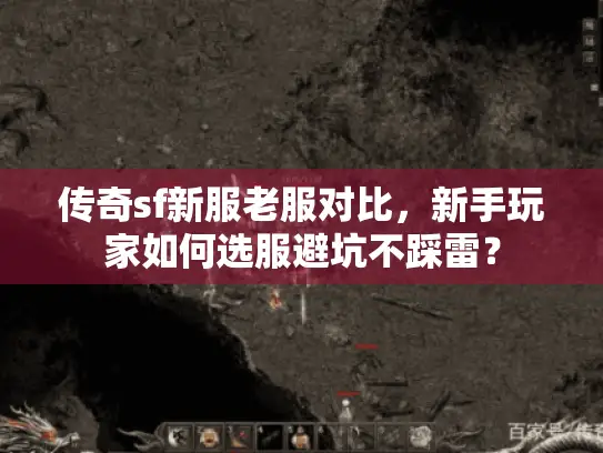 传奇sf新服老服对比，新手玩家如何选服避坑不踩雷？