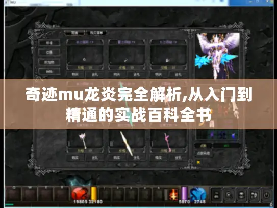 奇迹mu龙炎完全解析,从入门到精通的实战百科全书 奇迹mu龙炎完全解析,从入门到精通的实战百科全书