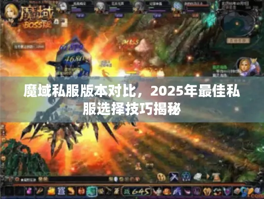 魔域私服版本对比，2025年最佳私服选择技巧揭秘