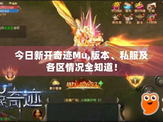 今日新开奇迹Mu,版本、私服及各区情况全知道！