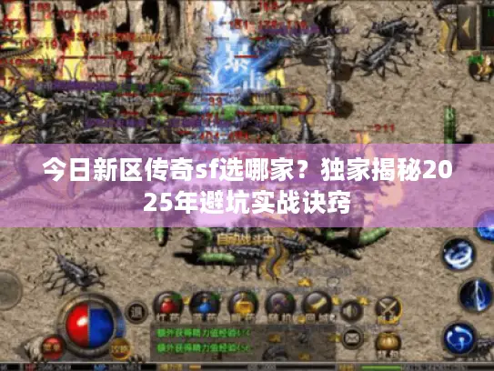 今日新区传奇sf选哪家？独家揭秘2025年避坑实战诀窍