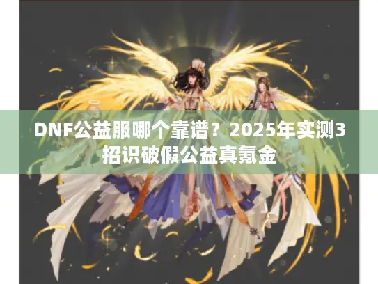 DNF公益服哪个靠谱？2025年实测3招识破假公益真氪金