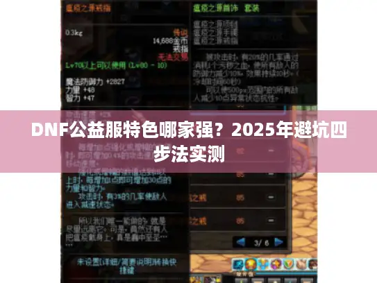 DNF公益服特色哪家强?2025年避坑四步法实测 DNF公益服特色哪家强?2025年避坑四步法实测