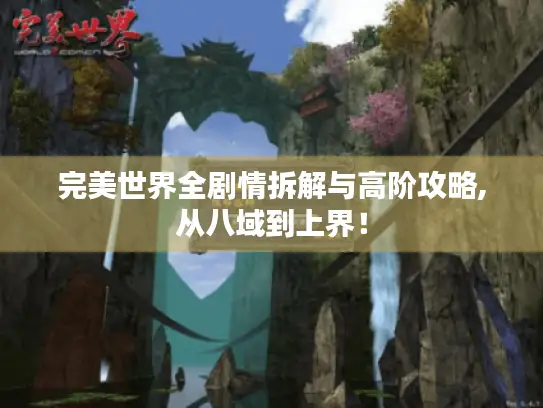 完美世界全剧情拆解与高阶攻略,从八域到上界！