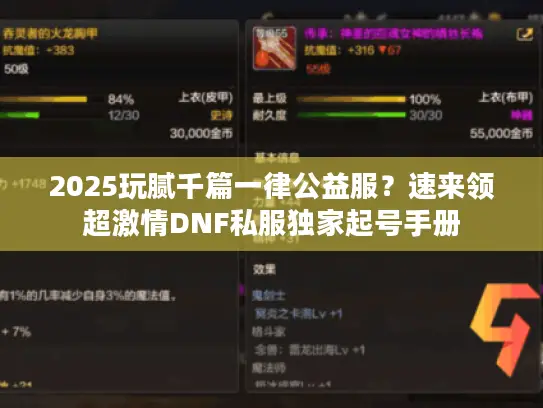 2025玩腻千篇一律公益服？速来领超激情DNF私服独家起号手册