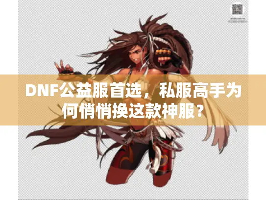 DNF公益服首选,私服高手为何悄悄换这款神服? DNF公益服首选,私服高手为何悄悄换这款神服?