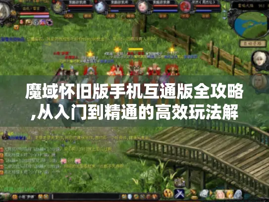 魔域怀旧版手机互通版全攻略,从入门到精通的高效玩法解析