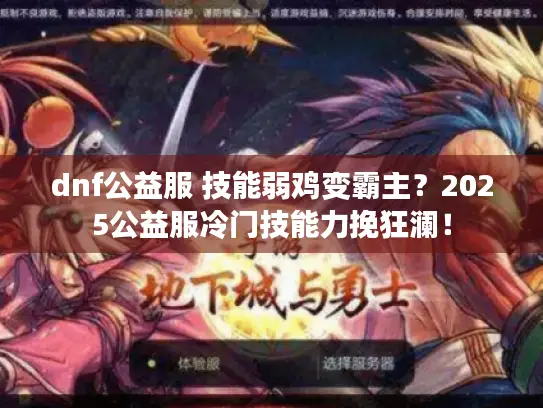 dnf公益服 技能弱鸡变霸主？2025公益服冷门技能力挽狂澜！