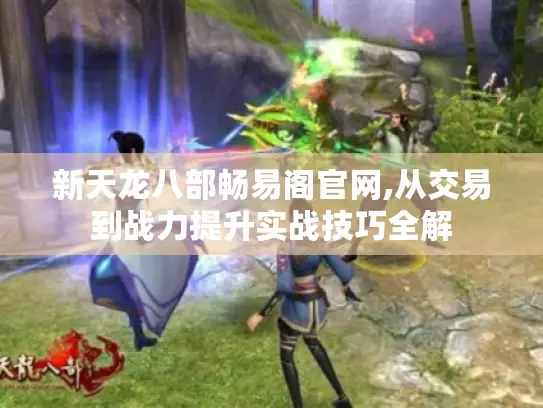 新天龙八部畅易阁官网,从交易到战力提升实战技巧全解 新天龙八部畅易阁官网,从交易到战力提升实战技巧全解