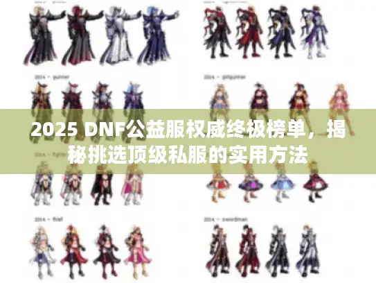 2025 DNF公益服权威终极榜单，揭秘挑选顶级私服的实用方法