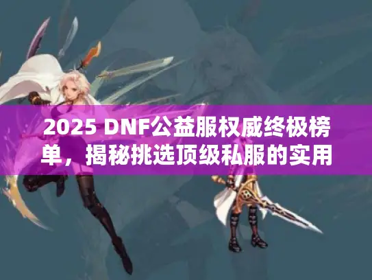 2025 DNF公益服权威终极榜单，揭秘挑选顶级私服的实用方法