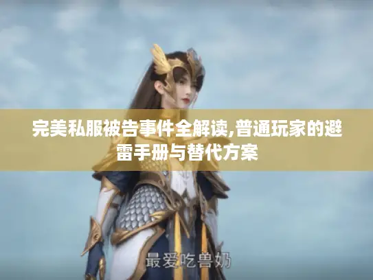 完美私服被告事件全解读,普通玩家的避雷手册与替代方案