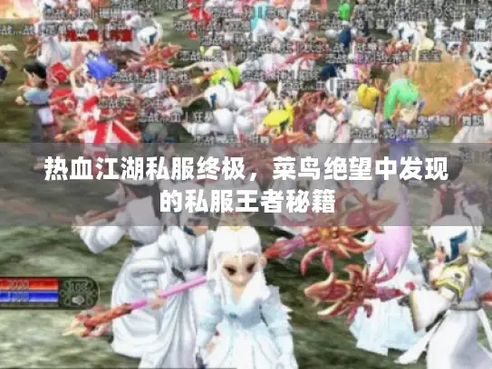热血江湖私服终极，菜鸟绝望中发现的私服王者秘籍