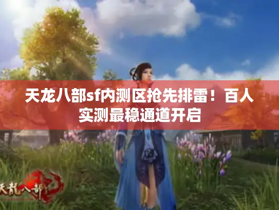 天龙八部sf内测区抢先排雷!百人实测最稳通道开启 天龙八部sf内测区抢先排雷!百人实测最稳通道开启