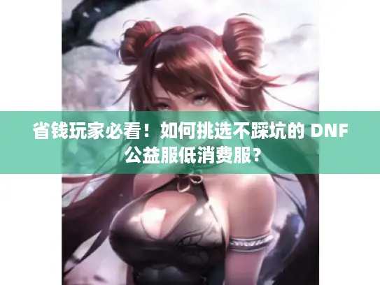 省钱玩家必看!如何挑选不踩坑的 DNF 公益服低消费服? 省钱玩家必看!如何挑选不踩坑的 DNF 公益服低消费服?