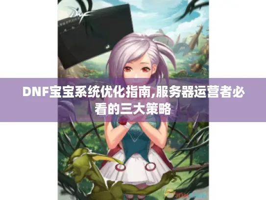 DNF宝宝系统优化指南,服务器运营者必看的三大策略