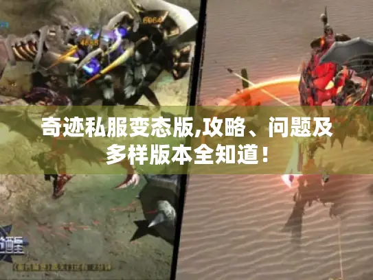 奇迹私服变态版,攻略、问题及多样版本全知道! 奇迹私服变态版,攻略、问题及多样版本全知道!