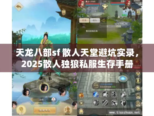 天龙八部sf 散人天堂避坑实录，2025散人独狼私服生存手册