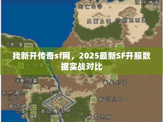 找新开传奇sf网，2025最新SF开服数据实战对比