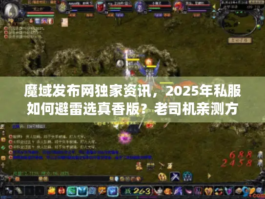 魔域发布网独家资讯，2025年私服如何避雷选真香版？老司机亲测方法