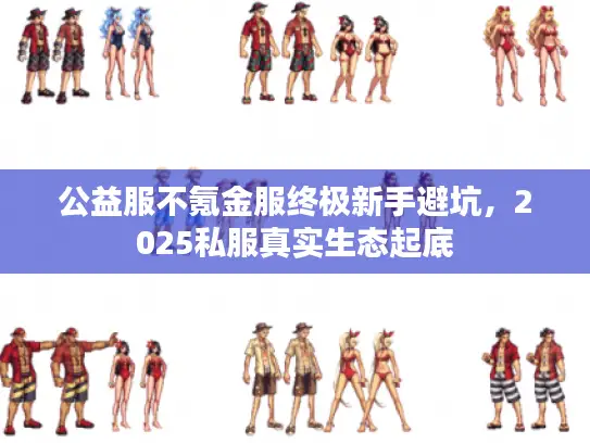公益服不氪金服终极新手避坑，2025私服真实生态起底