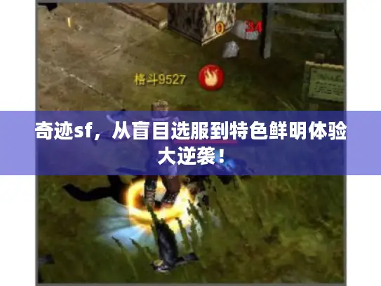 奇迹sf,从盲目选服到特色鲜明体验大逆袭! 奇迹sf,从盲目选服到特色鲜明体验大逆袭!