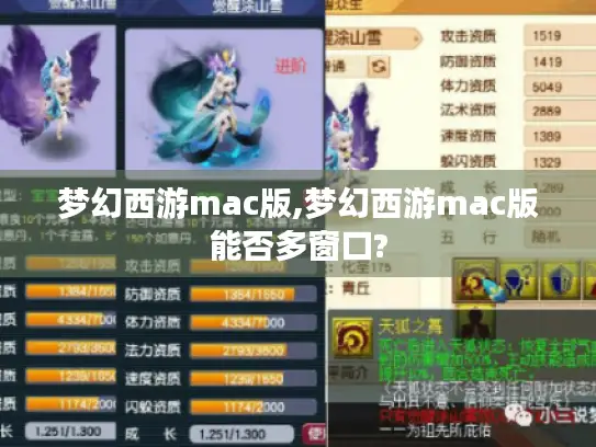梦幻西游mac版,梦幻西游mac版能否多窗口?