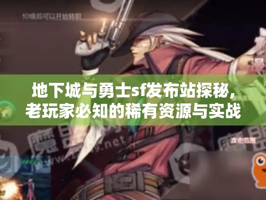 地下城与勇士sf发布站探秘,老玩家必知的稀有资源与实战技巧
