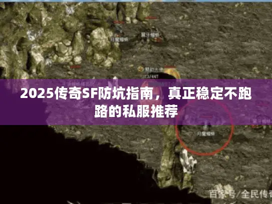2025传奇SF防坑指南,真正稳定不跑路的私服推荐 2025传奇SF防坑指南,真正稳定不跑路的私服推荐