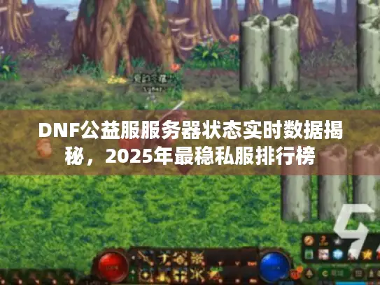 DNF公益服服务器状态实时数据揭秘，2025年最稳私服排行榜