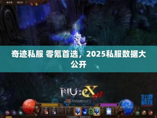 奇迹私服 零氪首选,2025私服数据大公开 奇迹私服 零氪首选,2025私服数据大公开