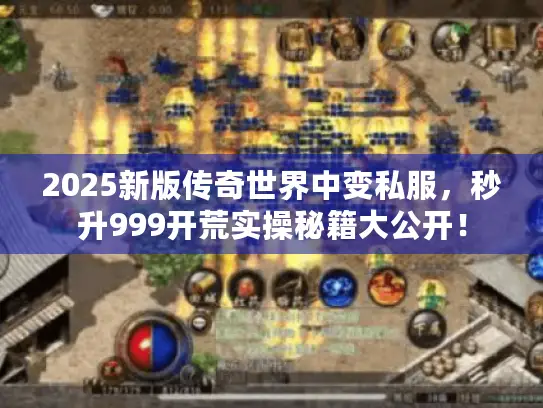2025新版传奇世界中变私服，秒升999开荒实操秘籍大公开！