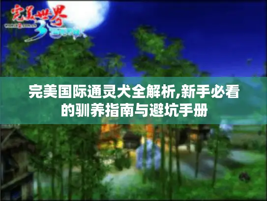 完美国际通灵犬全解析,新手必看的驯养指南与避坑手册